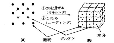 論文